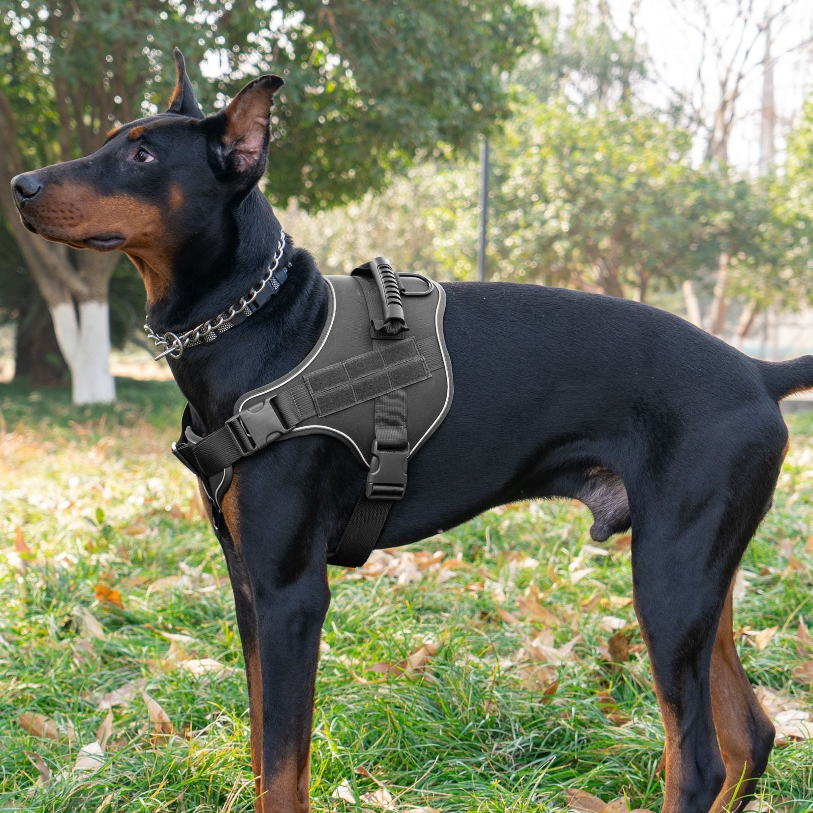 Breathable Tactical Harness